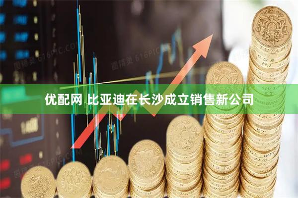 优配网 比亚迪在长沙成立销售新公司