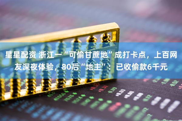 星星配资 浙江一“可偷甘蔗地”成打卡点，上百网友深夜体验，80后“地主”：已收偷款6千元