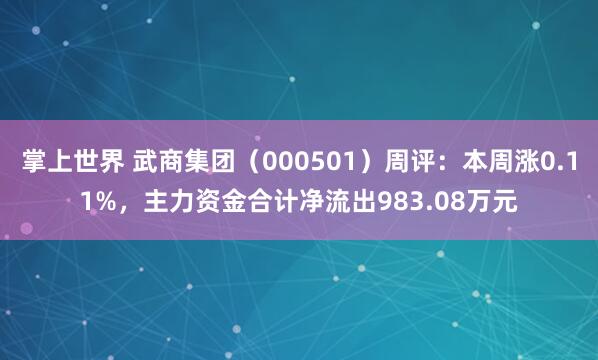 掌上世界 武商集团（000501）周评：本周涨0.11%，主力资金合计净流出983.08万元