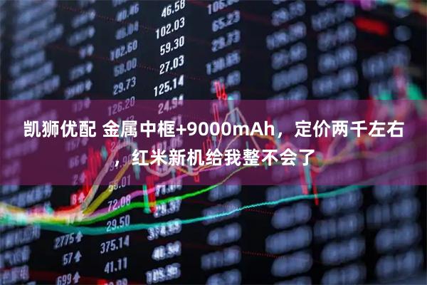 凯狮优配 金属中框+9000mAh，定价两千左右，红米新机给我整不会了