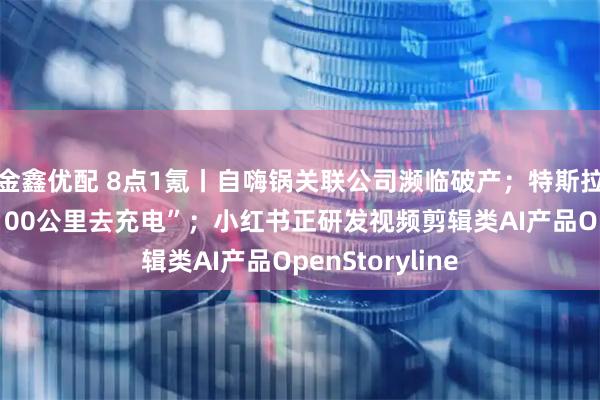 金鑫优配 8点1氪丨自嗨锅关联公司濒临破产；特斯拉售后建议“剩100公里去充电”；小红书正研发视频剪辑类AI产品OpenStoryline