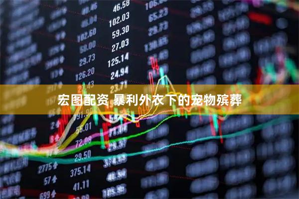 宏图配资 暴利外衣下的宠物殡葬