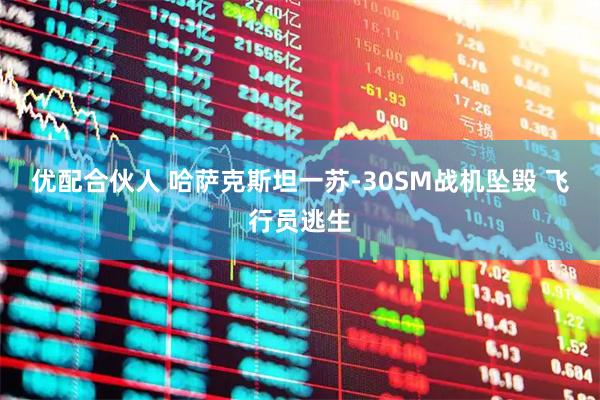 优配合伙人 哈萨克斯坦一苏-30SM战机坠毁 飞行员逃生