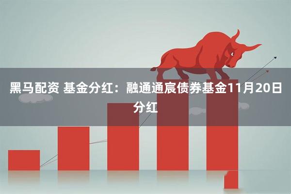 黑马配资 基金分红：融通通宸债券基金11月20日分红